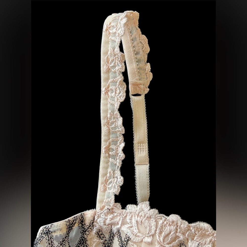 Lise Charmel Vintage Lace Floral Embroidery Demi Bra 34B France Couture - Picture 9 of 13